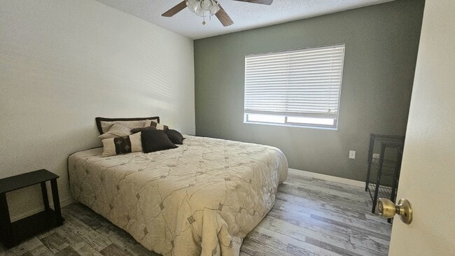 Building Photo - Beautiful 2 bedroom 2 bath