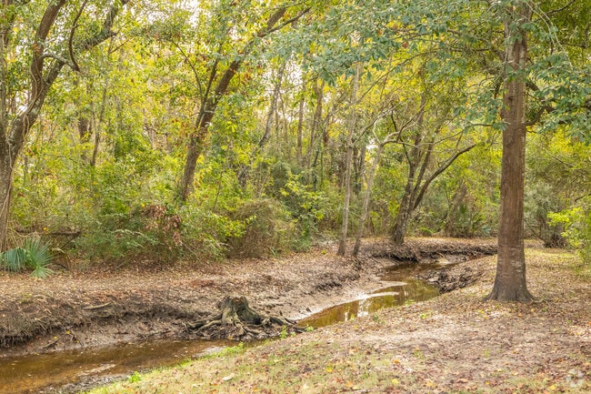 Hike and live in the beautiful town that is D'Iberville.