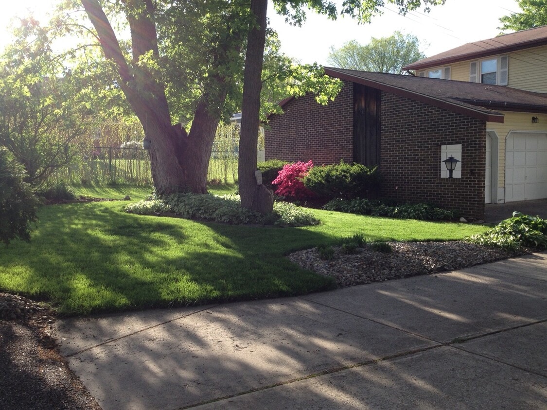 Street view front yardt - 917 Lattavo St NE