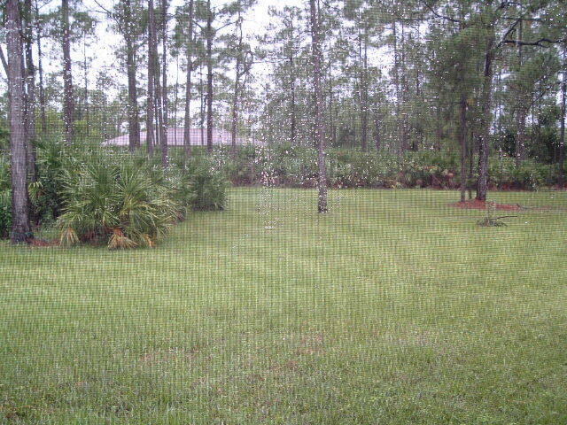 Foto del edificio - 12668 Citrus Grove Blvd