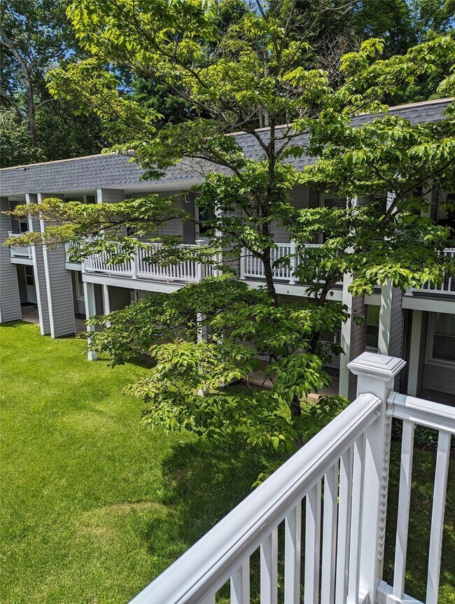 Foto del edificio - 10 Wild Oaks Rd