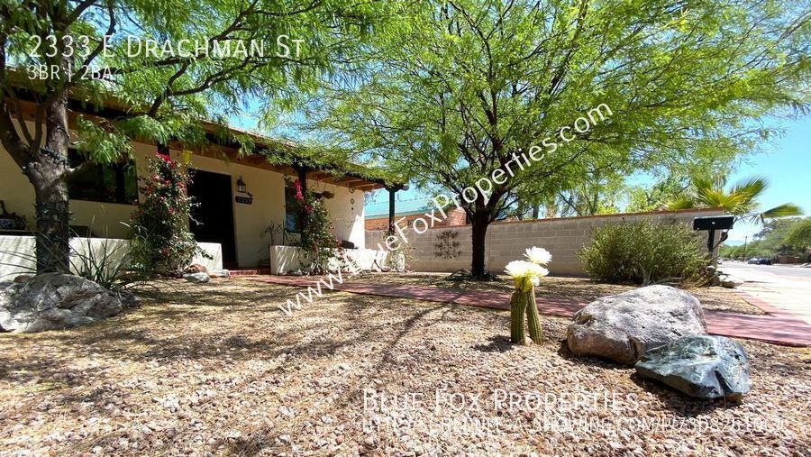 Primary Photo - 3 Bedroom, 2 Bathroom near UofA and Banner...