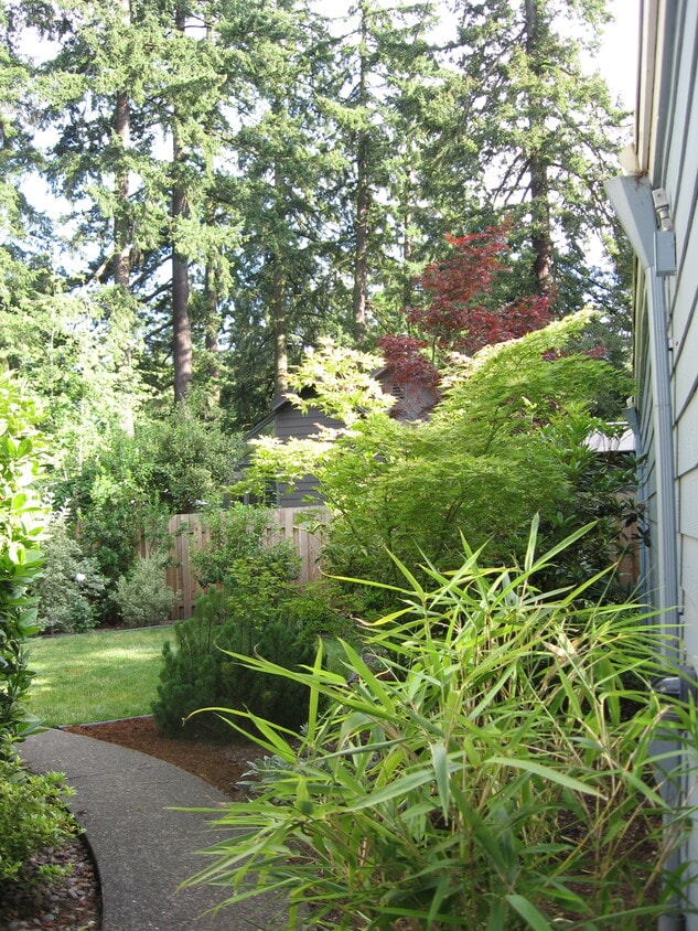 Backyard - 3140 SW Carson St