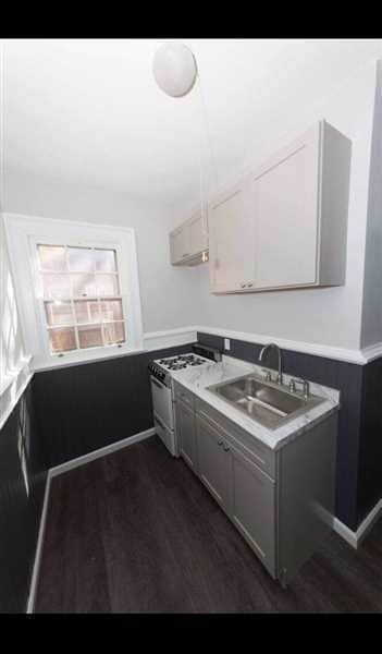 Building Photo - Newly renovated kitchen and updated bathroom