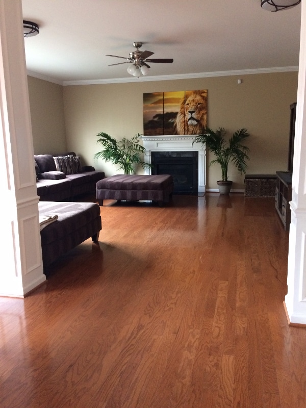 Photo - 1416 Beech Hollow Ct House