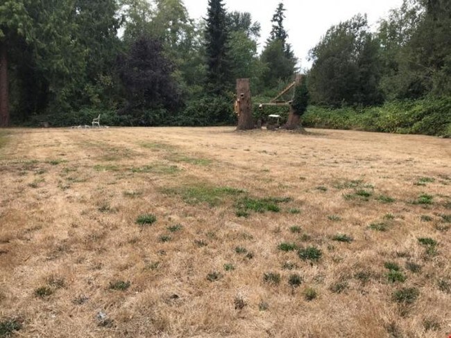 Building Photo - 2 bedroom in Tulalip WA 98271