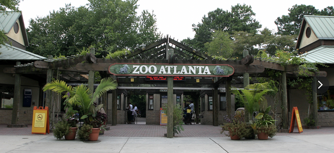 1 mile to Grant Park/Zoo Atlanta - 631 Woodland Ave SE