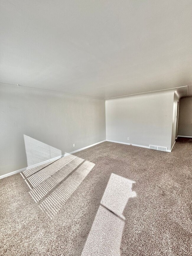 Building Photo - Remodeled Two Bedroom in University District-Next to DU!! New Carpet, In unit Washer/Dryer & More!!