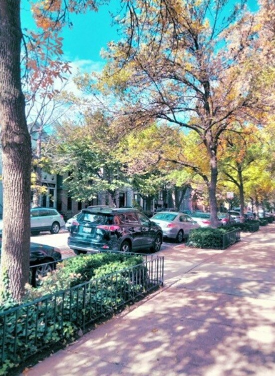 Foto del edificio - 1612 N Cleveland Ave