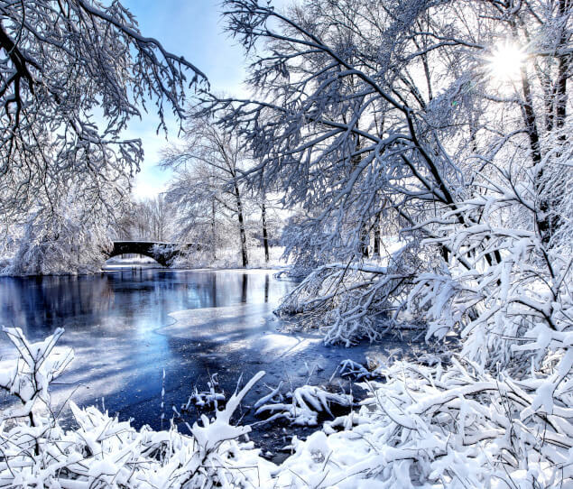 Dazzling winter scene in Franklin Park