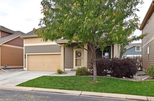 Foto del edificio - Beautiful 3 Bedroom with Garage in  Dry Cr...