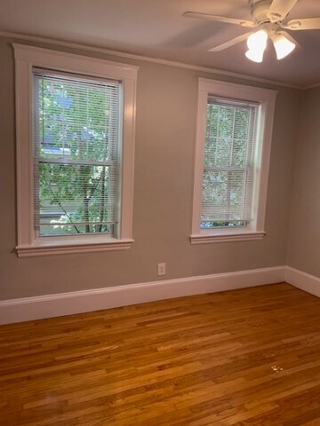 Primary Photo - 156 Summer St