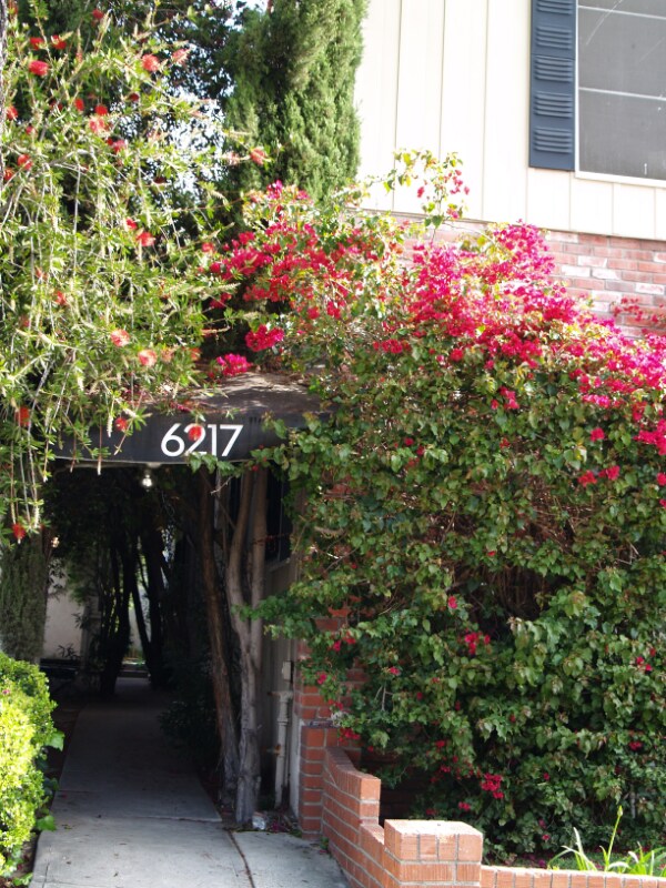 Foto del edificio - 6217 Orange St