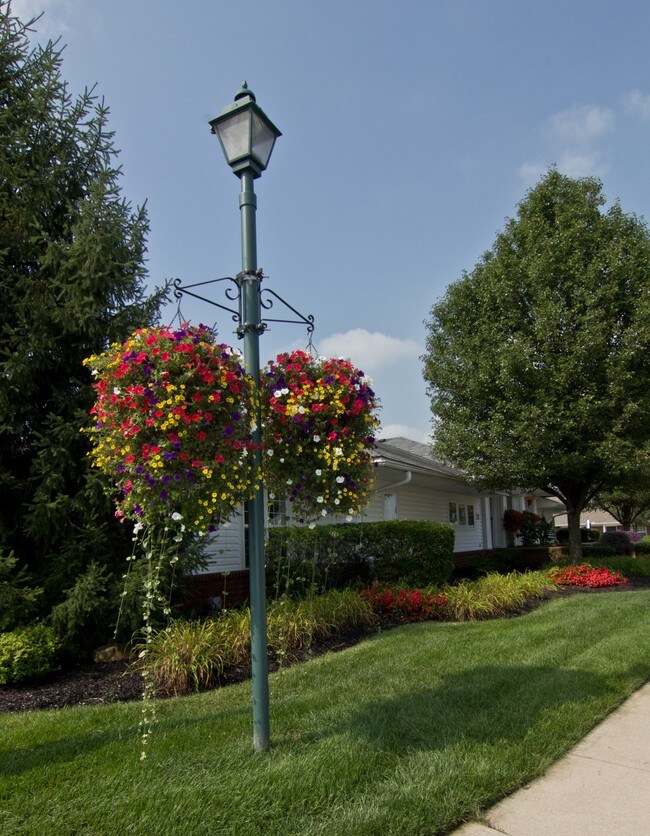 Albany Commons Apartments Westerville Oh Apartments Com