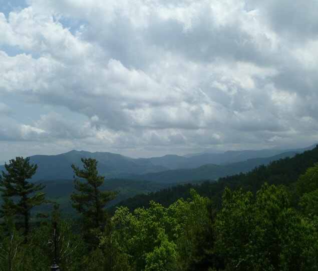Picture of Gastonia