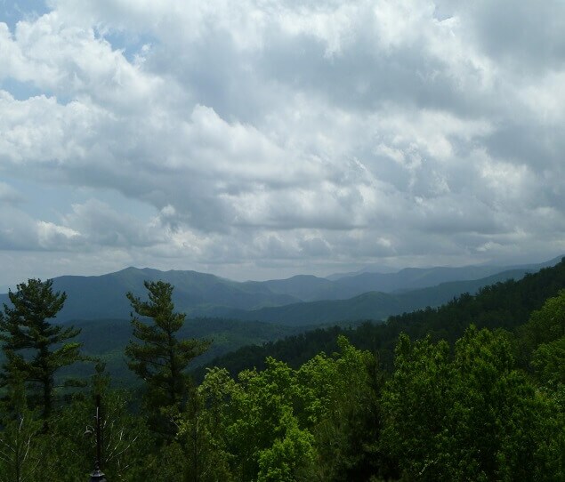 Picture of Gastonia
