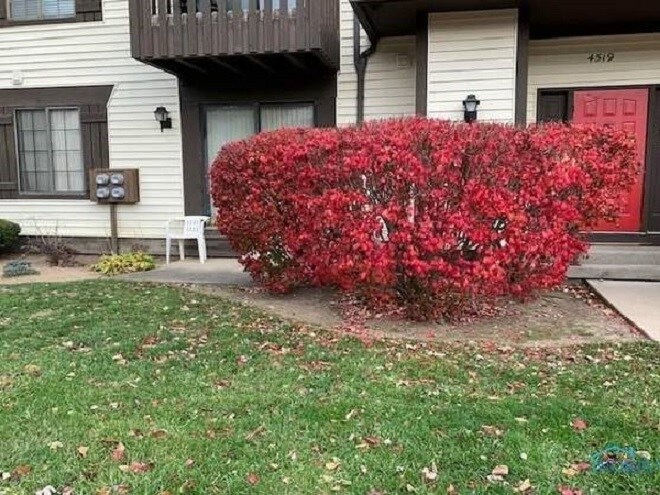 Foto principal - 4519 W Bancroft St