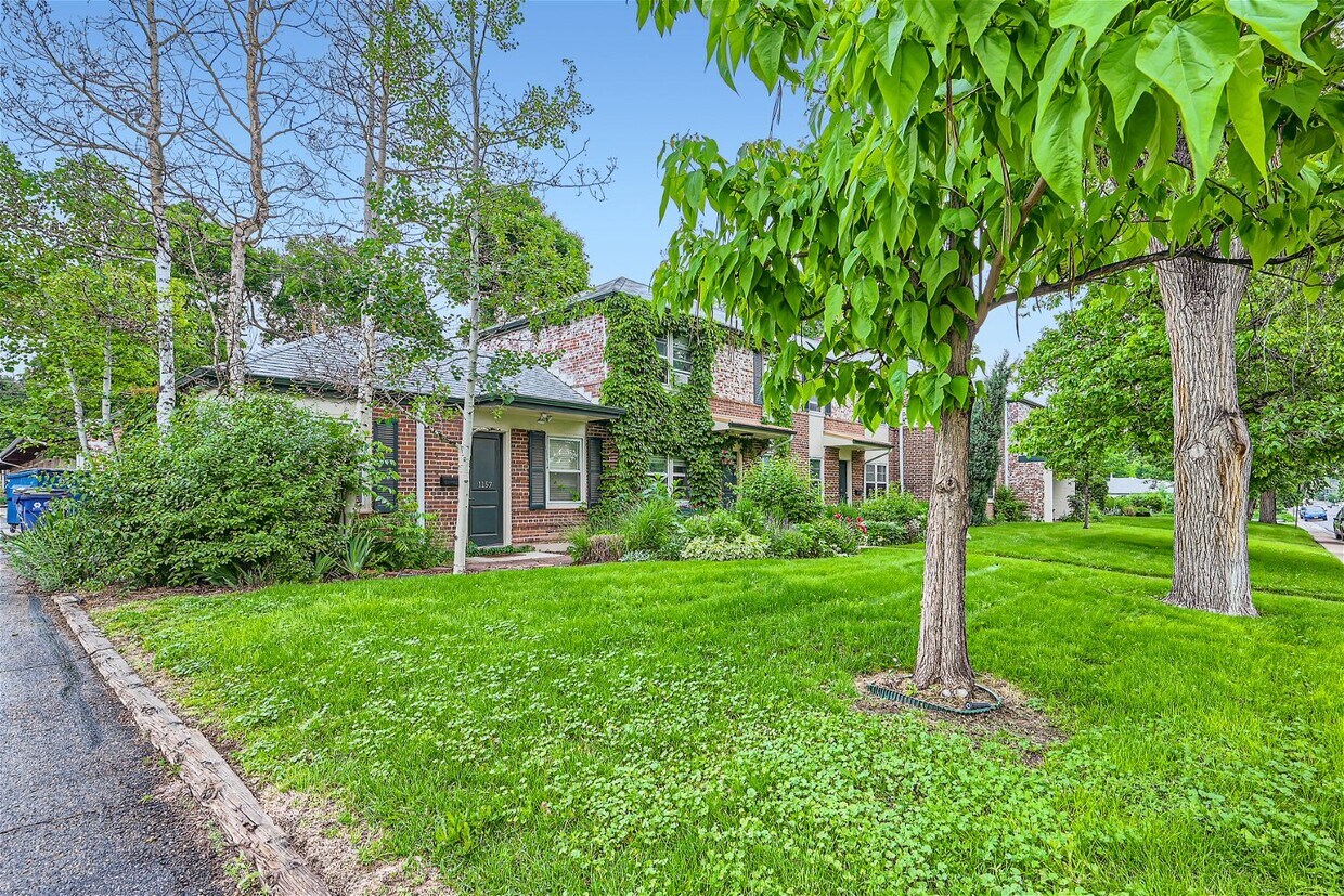 Primary Photo - 1163 Krameria St