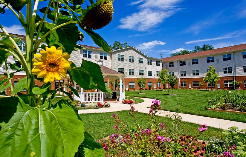 Primary Photo - Moffett Manor Senior Apartments