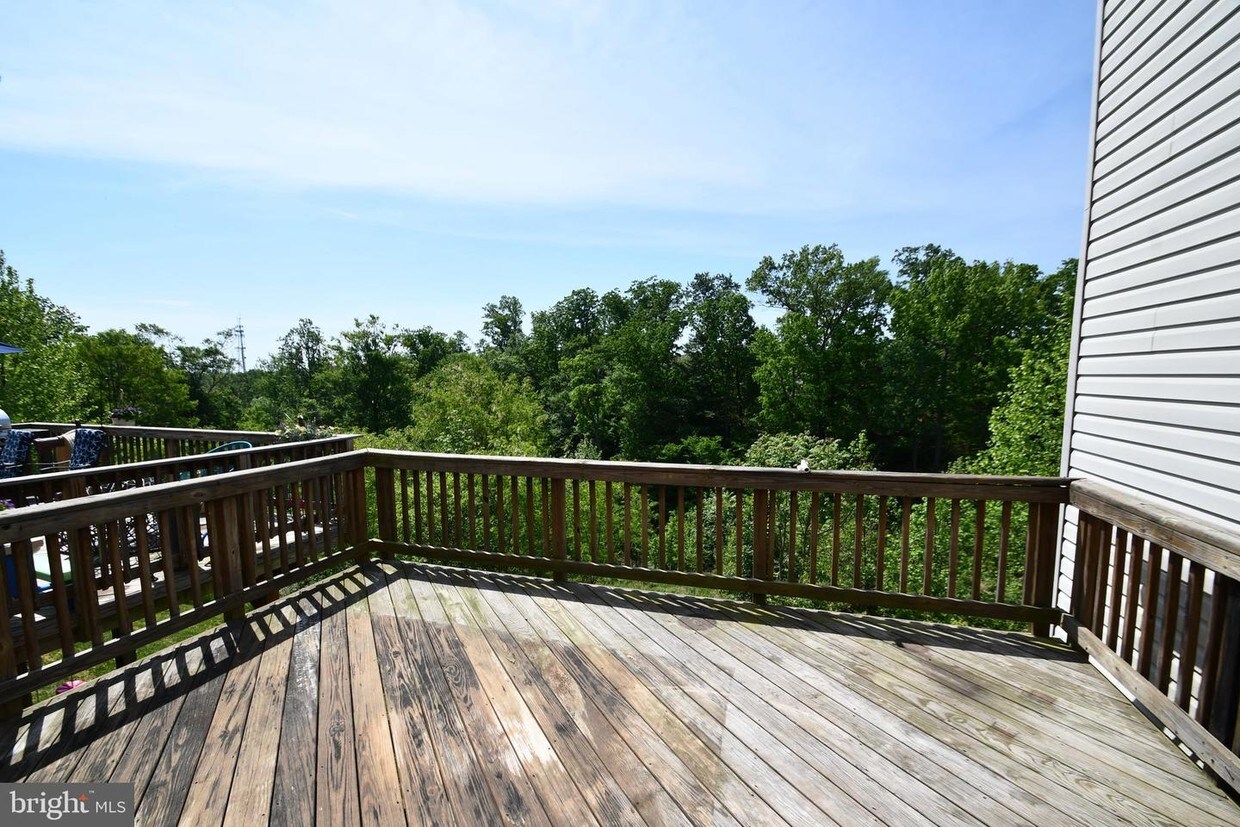 39 Allegheny Dr, Stafford, VA 22556 Townhome Rentals in Stafford VA