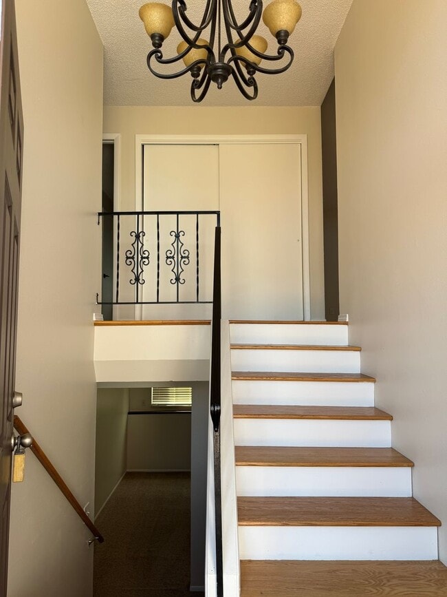 Foto del edificio - 5 bedroom, 3 bath, 2 car on acreage near t...