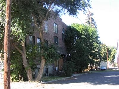 Primary Photo - Savoy Apartments