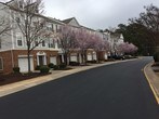 Primary Photo - 5316 Berry Creek Cir