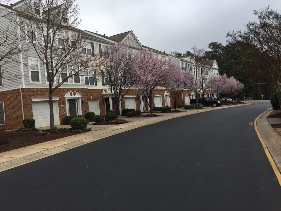 Foto principal - 5316 Berry Creek Cir