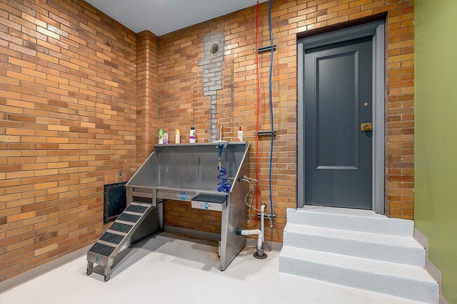 Dog Wash - The Standard