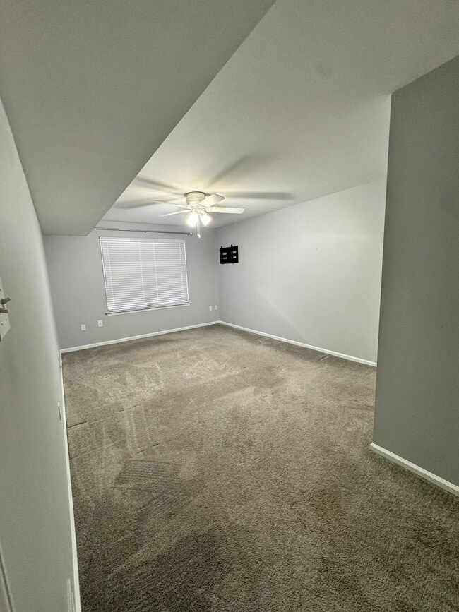 Foto del edificio - 283 Sassafras Ct