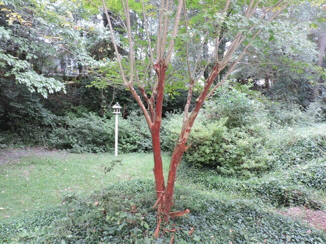 Foto del edificio - 8711 Emerald Plantation Rd