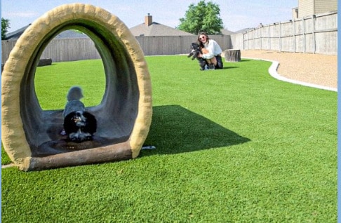 Parque para perros - Catalina West