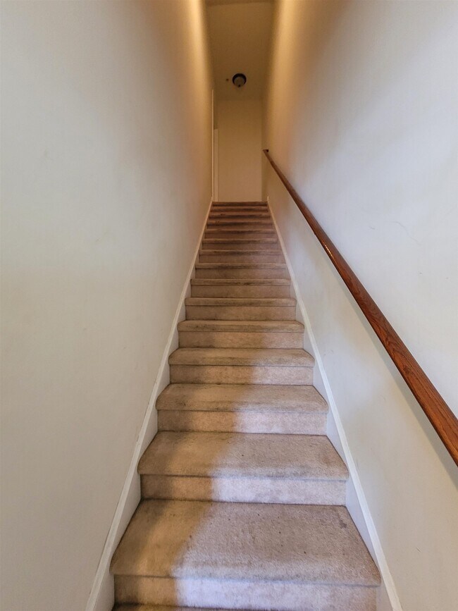Foto del edificio - 926 Price Ln