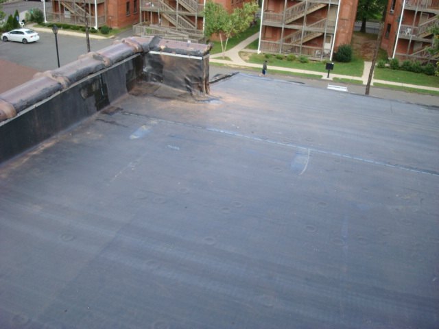  - 40 Hamilton St
