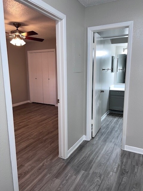 Building Photo - The Rosetta Apartment Homes