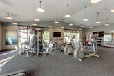 This fitness center at 1301 W 24th St in Lawrence, Kansas, offers a comprehensive and well-organized workout facility across a single floor. The space features vaulted ceilings with stylish pendant lighting that complements the natural light streaming in through large windows and glass doors, creating a bright and energizing atmosphere throughout.

The cardio section is generously equipped with multiple treadmills, elliptical trainers, and stationary cycling bikes, all arranged to take advantage of the outdoor views. A wall-mounted flat-screen television is positioned for easy viewing during workouts. A multi-station cable machine anchors the strength training area, providing versatile resistance exercise options.

The free weights section includes a full rack of dumbbells, stability balls, medicine balls, and adjustable workout benches, catering to a wide range of strength and functional training needs. Full-length mirrors line portions of the walls, enhancing the sense of space and supporting proper exercise form.

The flooring throughout is durable, low-pile carpet suited for a fitness environment, while neutral gray walls contribute to a clean and focused aesthetic. An activity or class schedule board is prominently displayed near the entrance. Additional amenities include a storage unit, informational bulletin boards, and private restroom or changing room access via interior doors, making this a fully functional and thoughtfully appointed fitness facility.