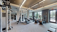 This fitness center is a thoughtfully designed, single-floor facility that combines contemporary aesthetics with comprehensive workout functionality. The space is organized into distinct zones, allowing for efficient use across various exercise disciplines. Upon entry, dark wood-paneled walls and glass-accented doors establish a polished, upscale atmosphere. The flooring throughout consists of a neutral, textured carpet tile that provides both durability and visual cohesion.

A standout architectural feature is a sculptural white partition wall adorned with circular cutouts that contain mirrored inserts, serving as both a functional divider and a striking design element. The ceiling design is multi-tiered, incorporating warm bronze-toned recessed panels paired with linear LED lighting and recessed can lights, creating layered, ambient illumination throughout.

Large floor-to-ceiling windows line one side of the facility, flooding the cardio zone with natural light and offering views of lush palm-lined outdoor scenery. This area is equipped with multiple treadmills, ellipticals, rowing machines, and stationary bikes, all featuring integrated digital displays. A separate strength training section houses a cable machine system, adjustable benches, free weights, and a wall-mounted television. The overall ambiance is modern, clean, and well-appointed.