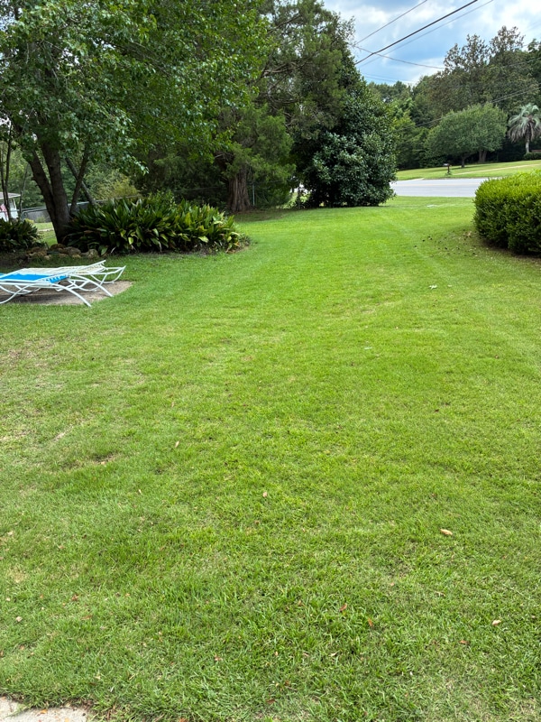 Foto del edificio - 2131 E Cottonwood Rd