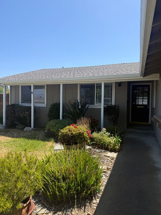 Foto del edificio - Charming 3 Bedroom, 2 Bathroom Livermore Home with Pool & Private Backyard Oasis