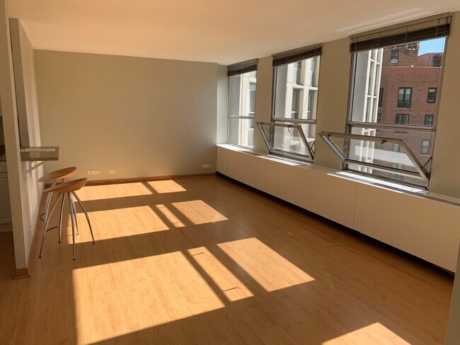 Foto del edificio - Wonderful West Facing Studio in Lincoln Park