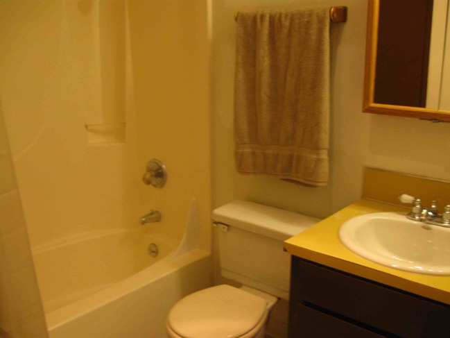 bathroom - Mapleview Apartments