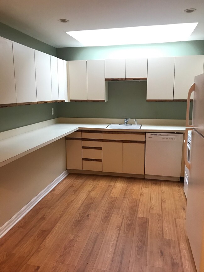 Large kitchen with ample counter space and cabinets! Skylight above sink! - 50 May St