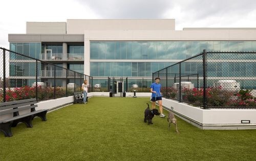 Foto del edificio - 3740 N Halsted St