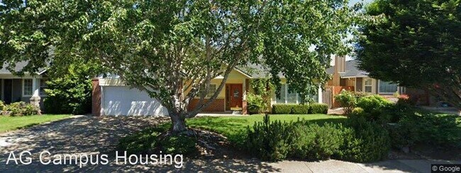 Building Photo - 3 br, 2 bath House - 2953 Dry Creek Rd