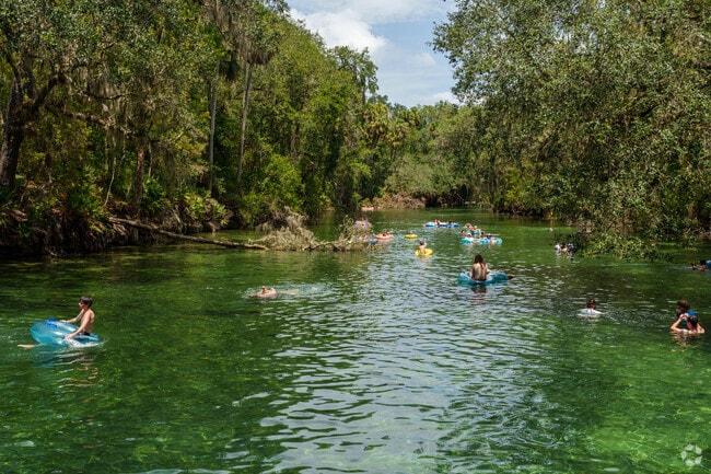 Just minutes from Orange City, Blue Spring State Park offers a fantastic spot for swimming.