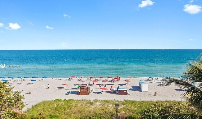 Your Backyard - 4141 Collins Ave