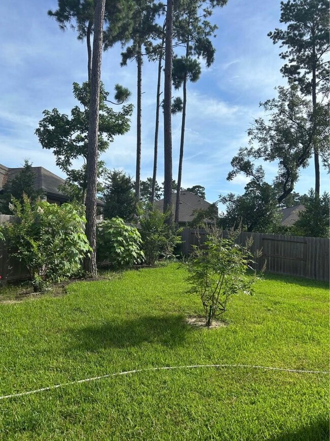 Foto del edificio - 322 Fanpalm Ct