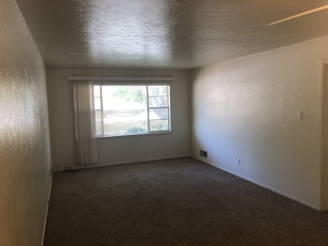 Building Photo - Enchanted Hills Pet Friendly Home!