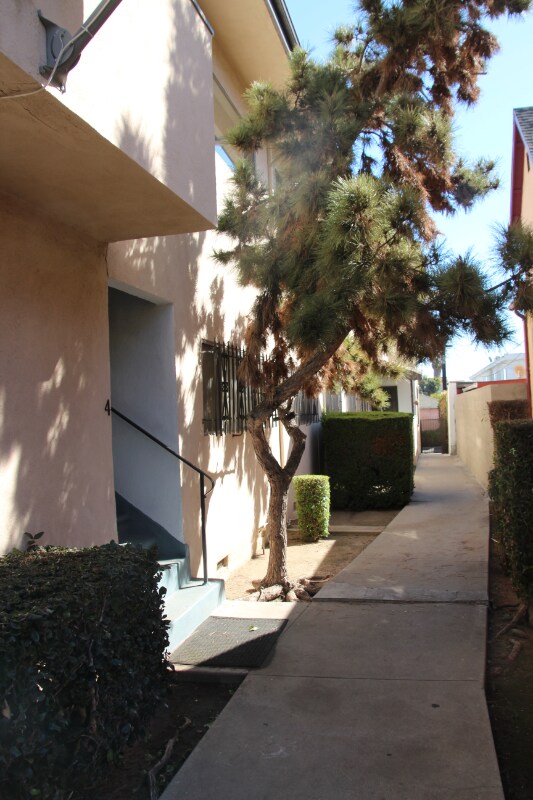 2045 S Sherbourne Dr Unit 2, Los Angeles, CA 90034 Room for Rent in