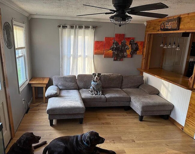 Foto del edificio - 4966 Collins Dr